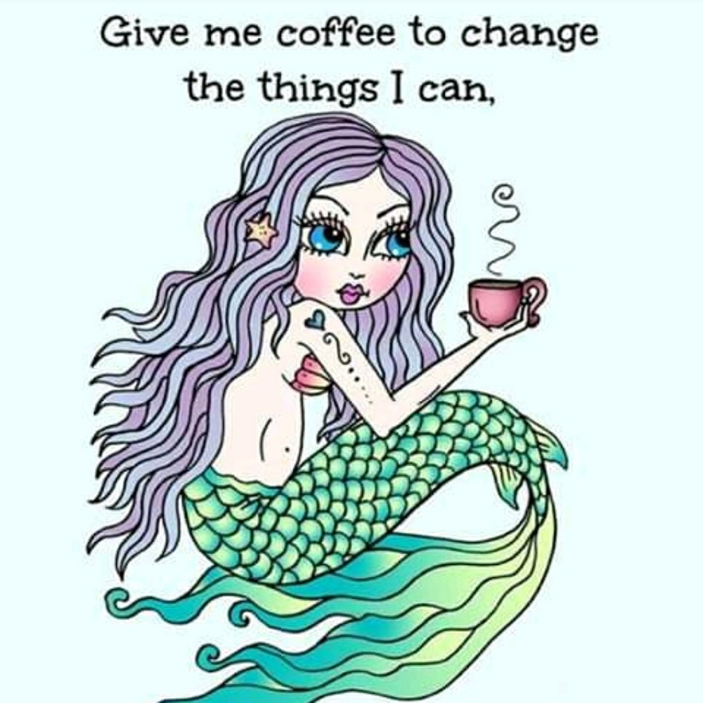 Meet your Posher, Sue